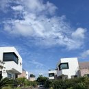 알레제주 이미지