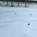 영광2 태양광발전소 이미지