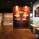 지질박물관 이미지