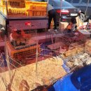 안강시장 이미지