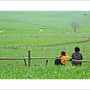 너울농장 이미지