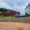 새천년농장 | [웰니스 컬리지 8기] 웰니스 전문가 양성 과정 후기 :: 3일차