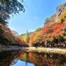 【55. 강천산剛泉山(순창)왕자봉 584m) 】 「 '호남의 소금강'」 이미지