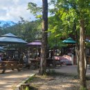 비선대만남의광장 이미지