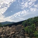 해마루힐링숲민박 이미지