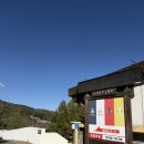 시전1길 | 토끼의 숲 | 평창 대관령 동물원 먹이주기 체험 후기