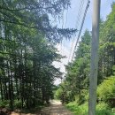 들판의추억목장 이미지