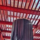 영월 Y파크(술샘박물관) 이미지