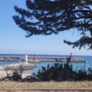 평해시장 이미지