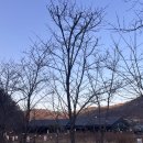 이원로 | 용인 한적한 카페 묵리459｜숲속 힐링하기 좋은 숨은 명소 후기