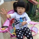 윤민농장 이미지