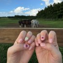 미영목장2 이미지