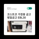 코스트코 범일금고 (EBL30) 후기
