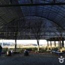 두루미평화마을 이미지