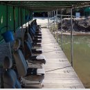 대명낚시터 이미지