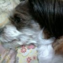 가양3동 이미지