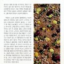 삶기름방앗간 이미지