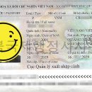 하노이 행정사 이미지