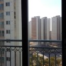 로얄크린 이미지