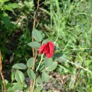 대각농장 이미지