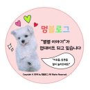별별돼지 이미지