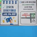 대구 화원읍횟집 추천 서민회수산 화원본점 대구물회맛집 인정