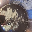 애니카랜드 대저점 이미지