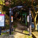 내장산 단풍 구경을 가다 이미지