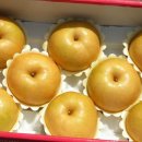 곤이 농장 이미지