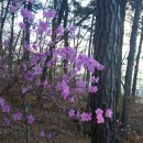 노작공원(노인공원) 이미지