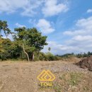 하예동-6 이미지