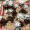 (주)그리니 이미지