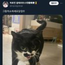 정담약국 네이버블로그