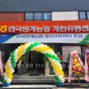 테이프커팅식 왜 중요할까? 장비렌탈/ 시나리오무료제공/ 현장지원무료/ 전국출장! 핵심정리