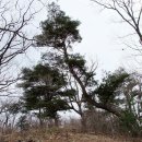 연인산풍경 이미지