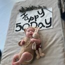 오즈스튜디오 | 2026년 대구 오즈베이비스튜디오 50일 아기 촬영 솔직후기