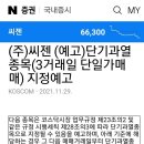 씨젠 단기 과열 종목 이미지