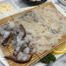 오징어천국 이미지