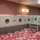 레인보우힐링센터 화장실 | 영동 레인보우힐링센터 실내 실외 놀이터 후기｜대전 아이와 가볼만한곳 추천