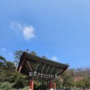 동백사랑약국 이미지