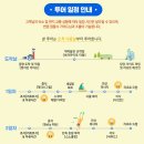 보라카이 가이드맨 이미지