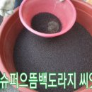 으뜸농장 2 이미지