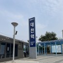 🐚 대천 맛집 불판 위의 행복, 조개까는 남자 후기 (feat. 해산물 찐사랑러 )