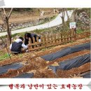 이안농장 이미지