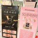 에스떼케어