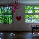 청보리목장 이미지