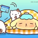 센트럴안과의원 이미지