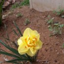 선민농장 이미지