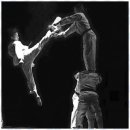 고양 용인대 백호 태권도장 이미지