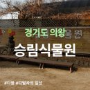 경기 의왕 [승림식물원] 따뜻한 봄날씨에 가족나들이 다녀왔어요 :: 거북이 토끼 도마뱀 먹이주기 귤...